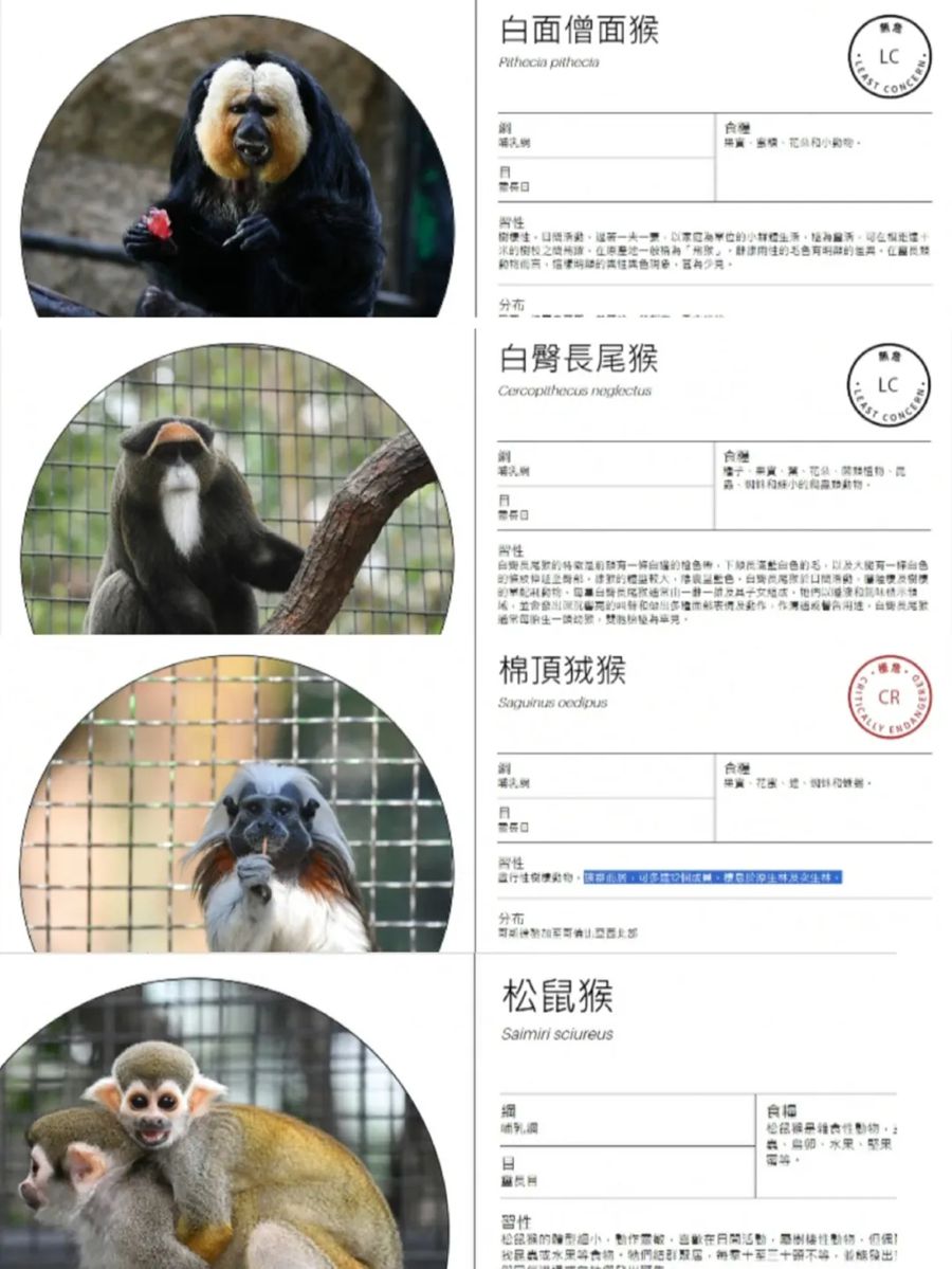 2_副本.jpg